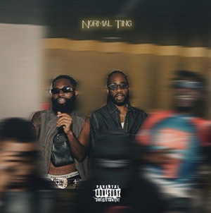 Yung D3mz & Seff – Normal Ting