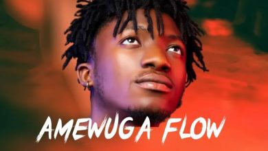 DJ Donzy – Kwesi Amewuga Flow Mixtape