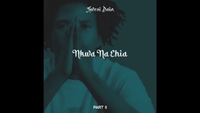 Kwesi Dain – Nkwa na Ehia