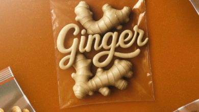 Sean Paul – Ginger