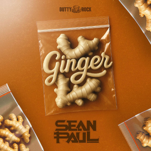 Sean Paul – Ginger