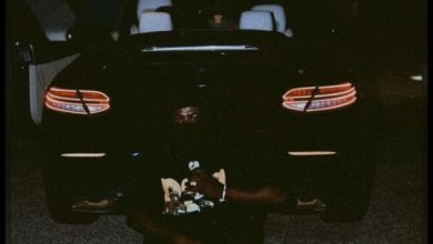 Talaat Yarky – Wild Steppa (Remix) Ft. Larruso