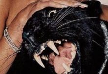 Twitch 4EVA – VYB W ME