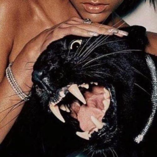 Twitch 4EVA – VYB W ME 1 Twitch 4EVA – VYB W ME