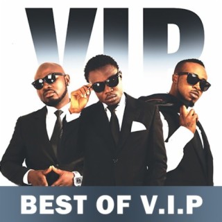 VIP – Besin