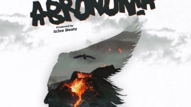 Amerado – Abronoma 5 Amerado – Abronoma