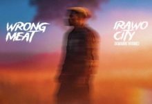 Baba Tundey – Wrong Meat