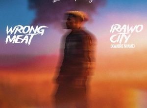 Baba Tundey – Wrong Meat 3 Baba Tundey – Wrong Meat