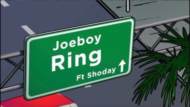Joeboy - Ring Ft Shoday