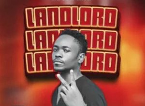Maccasio – Landlord