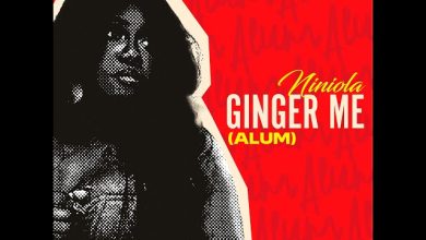 Niniola - Ginger Me (Alum)
