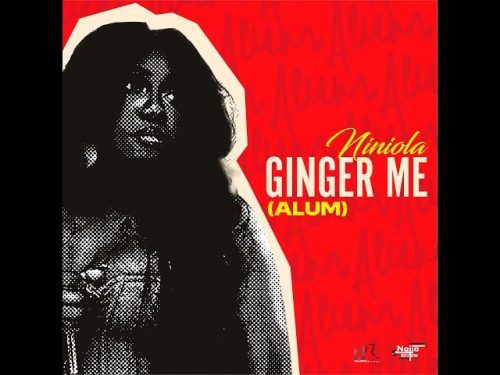 Niniola - Ginger Me (Alum)