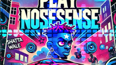 Shatta Wale – Play Nonsense