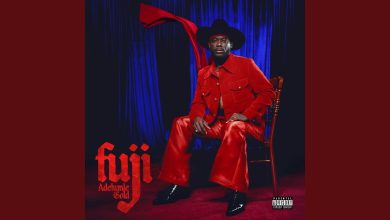 Adekunle Gold - Many People Ft Yinka Ayefele & Adewale Ayuba