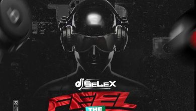 DJ Selex - Feel The Vibez Mixtape