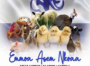 Great Ampong – Emmoa Asem Nkoaa 3 Great Ampong – Emmoa Asem Nkoaa