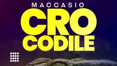 Maccasio – Crocodile 2 Maccasio – Crocodile