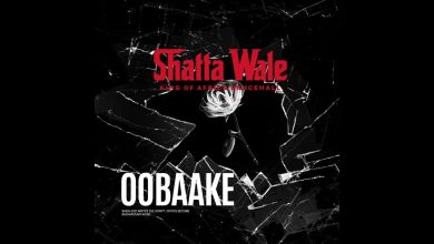 Shatta Wale - Oobaake