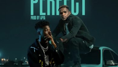 Starflexx Armani – Perfect Ft Baba Tundey