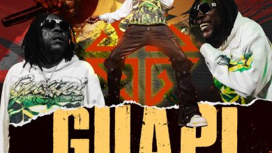 Vybz Kartel – Guapi