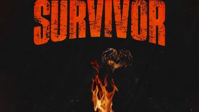 Wendy Shay – Survivor 4 Wendy Shay – Survivor