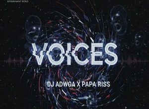 Dj Adwoa & Papa Riss – Voices