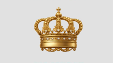 Shatta Wale – Big Lie Dat (WYFL Riddim)