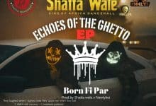 Shatta Wale – VIP Girl