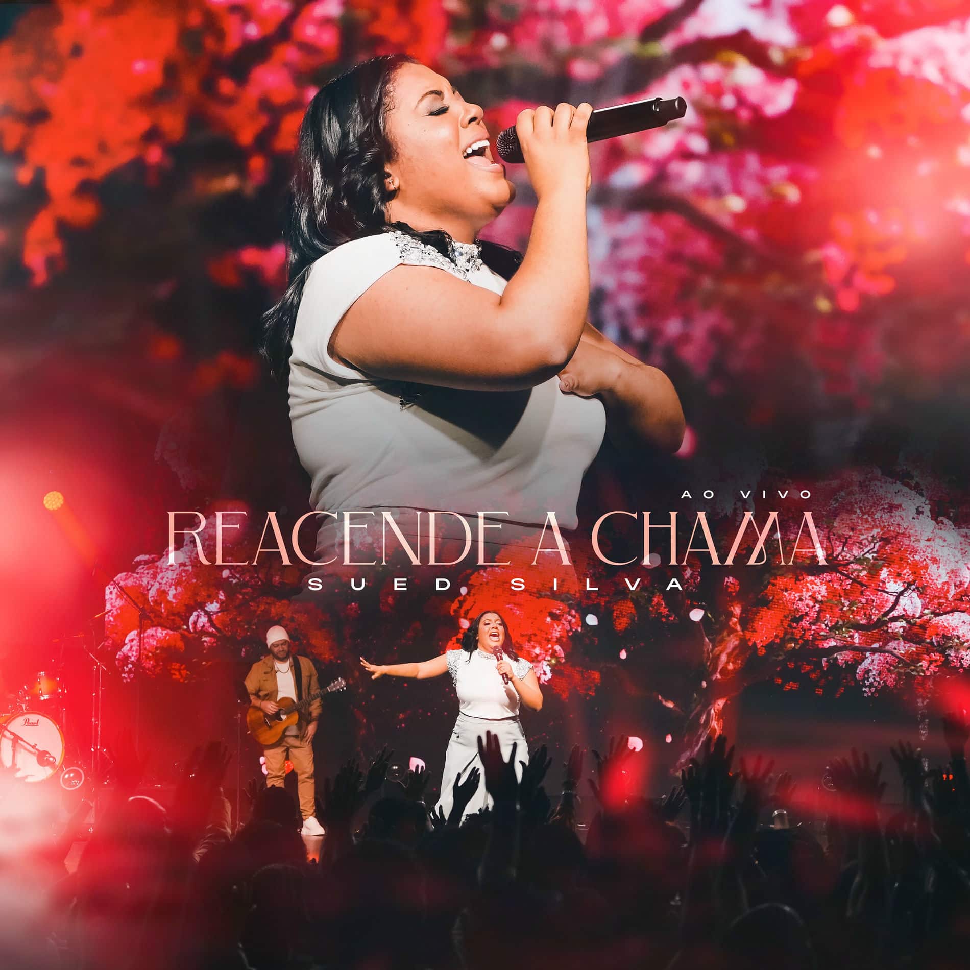 Sued Silva – Reacende A Chama