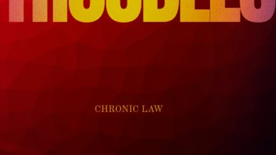 Chronic Law – Troubles