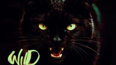 Kwame Yogot – Wildcat (WYFL Riddim)