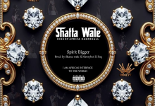 Shatta Wale - The Interface EP