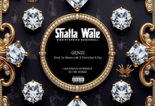Shatta Wale – Genzi
