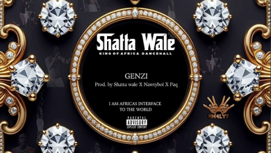 Shatta Wale – Genzi