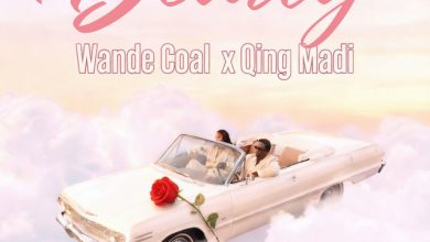 Wande Coal – DEARLY Ft Qing Madi