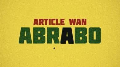 Article Wan – Abrabo