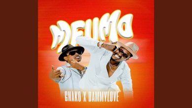 G Nako - Mfumo Ft Dammy Love
