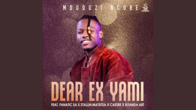 Mduduzi Ncube Ft Fanatic SA x Stallin Matsitsa x Caeser x Ayanda Art - Dear Ex Yami