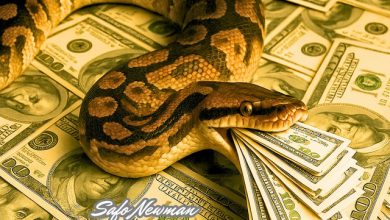 Safo Newman – Wowo Fe Sika