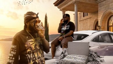 Teebone x Chronic Law – Elevation