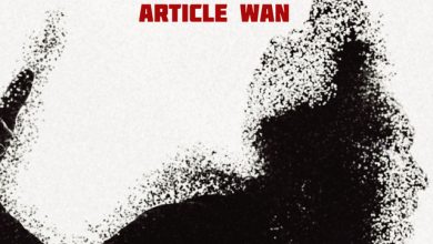 Article Wan – Spirit