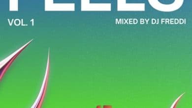 DJ Freddi – Feels (Mix Vol.1)
