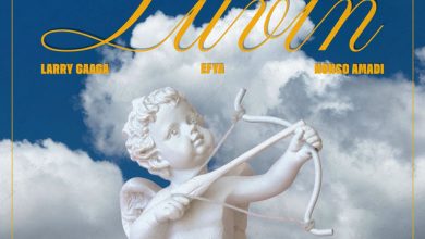 Larry Gaaga – Luvin Ft Efya & Nonso Amadi