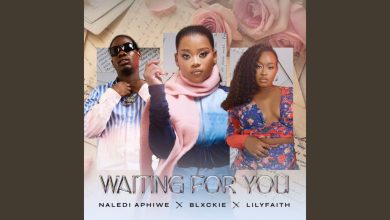 Naledi Aphiwe - Waiting For You Ft Blxckie x LilyFaith