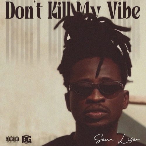 Sean Lifer – Don’t Kill My Vibe
