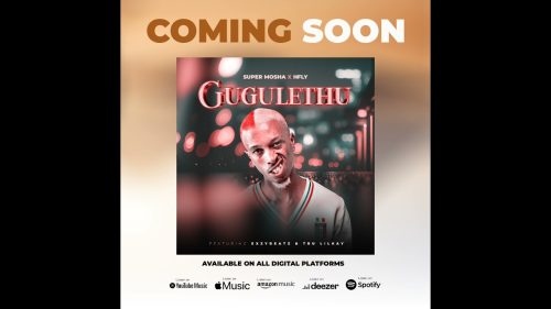 Super Mosha Ottimo – Gugulethu Ft HFLY x ExzyBeatz & Tru Lilkay