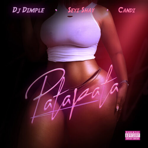 DJ Dimple – Pata Pata Ft Seyi Shay & Candi