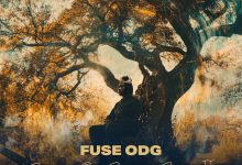 Fuse ODG – Ewolo Ft Awilo Longomba