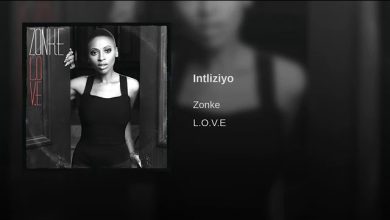 Zonke - Intliziyo