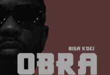 Bisa Kdei – Obra